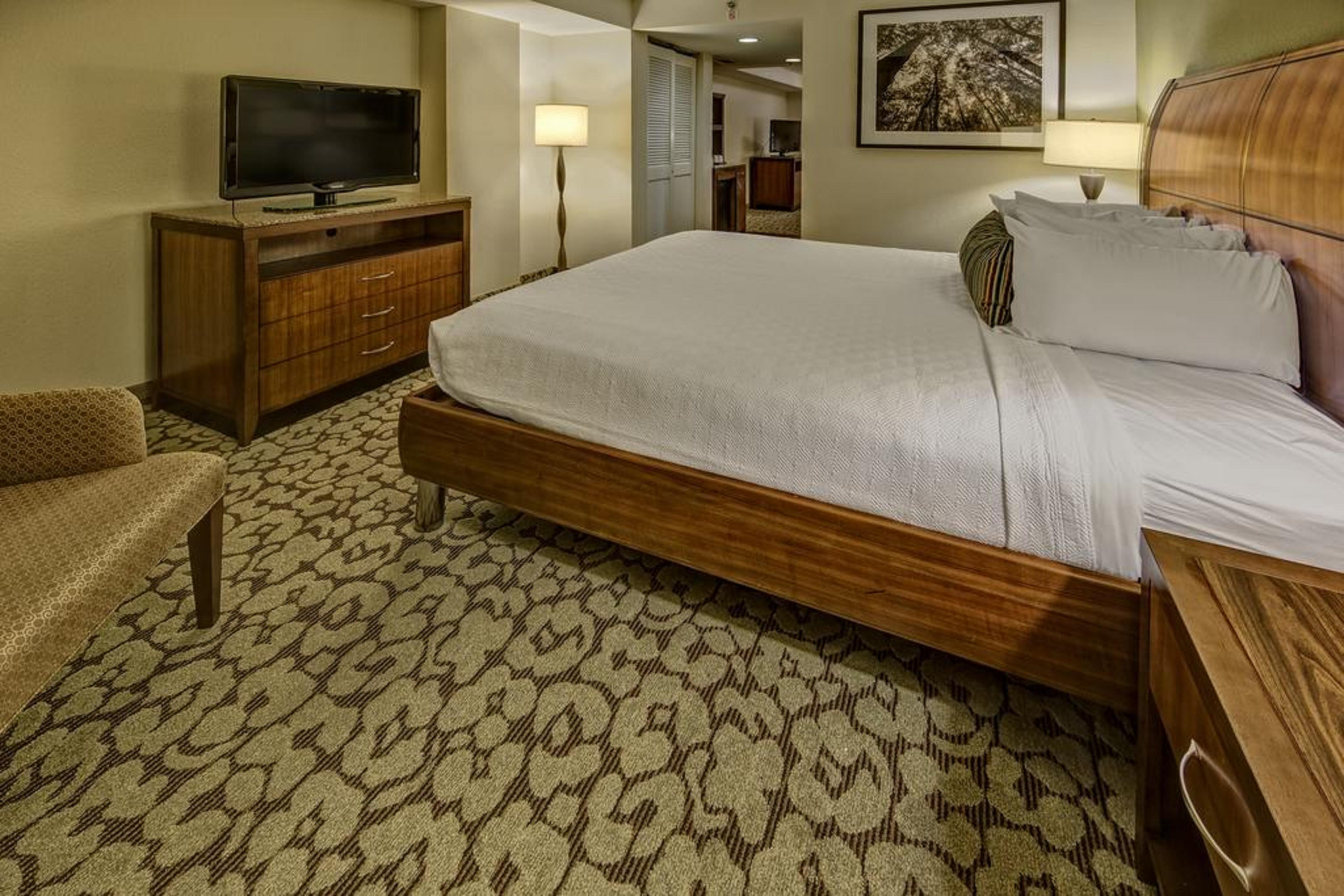 Hilton Garden Inn New Orleans Convention Center Buitenkant foto